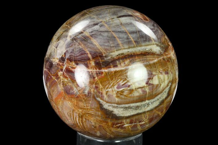 Colorful Petrified Wood Sphere - Madagascar #135656